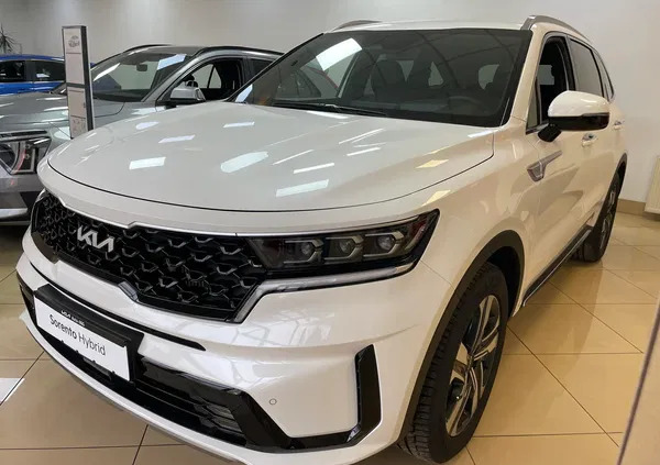 kia mazowieckie Kia Sorento cena 235490 przebieg: 6, rok produkcji 2023 z Prabuty